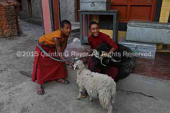 Kagbeni Monks