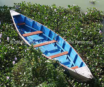 Pokhara Lake